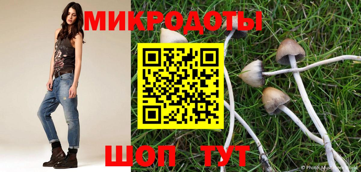 Псилоцибиновые грибы мицелий Ханты-Мансийск